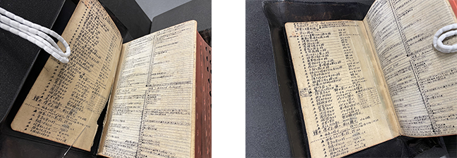 New Analytical Indexed Bible, first left flyleaf before and after treatment